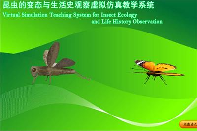 昆虫变态生活史虚拟仿真